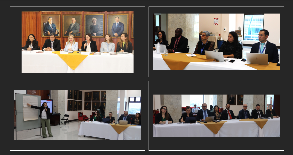 Expertos internacionales apoyan proceso de cocreación de la Política de Acceso a la Justicia de Pueblos Indígenas