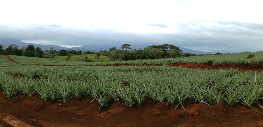 Nuevo Código Procesal Agrario mejorará la atención de la persona usuaria