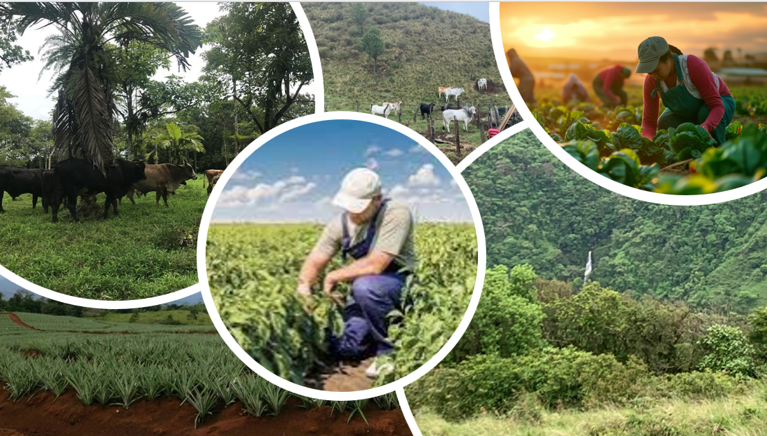 Reforma al nuevo Código Procesal Agrario moderniza y optimiza la jurisdicción especializada