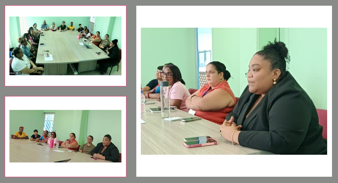 Personal judicial y sociedad civil participaron en charla sobre acceso a la justicia para las mujeres afrodescendientes
