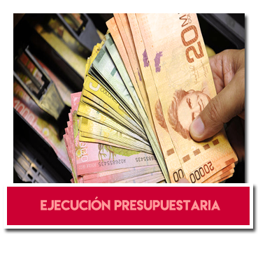 Datos abiertos Ejecución presupuestaria