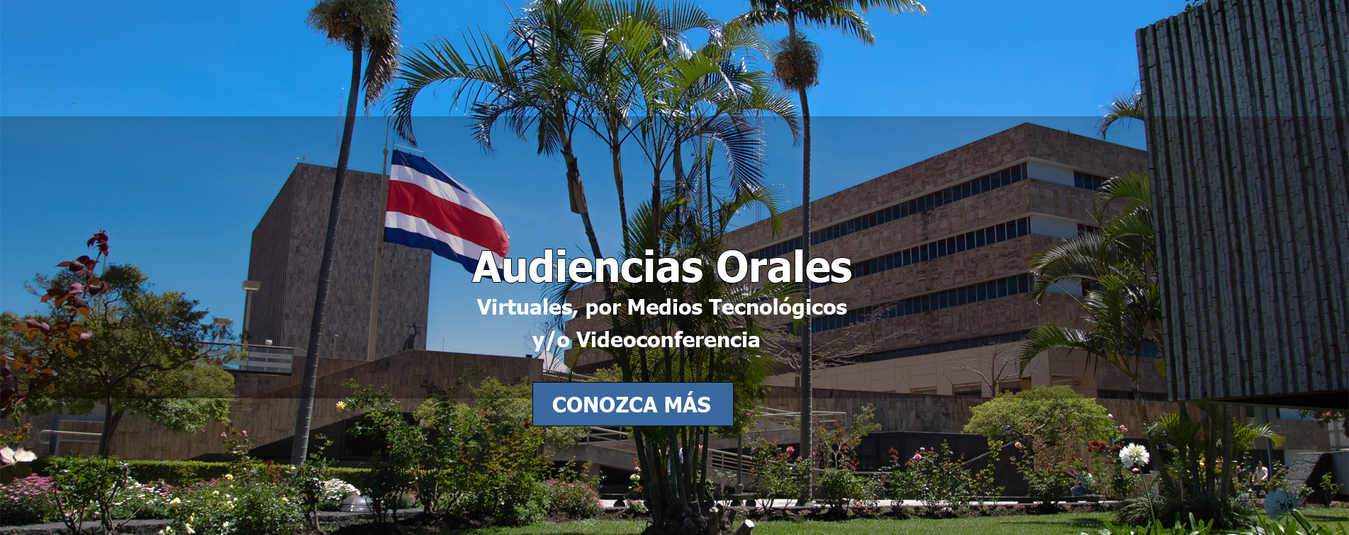 Audiencias Orales - Virtuales, por medios Tecnológicos y/o Videoconferencia 